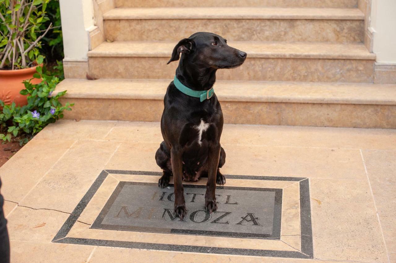Mimoza Hotel Spetses Town Bagian luar foto