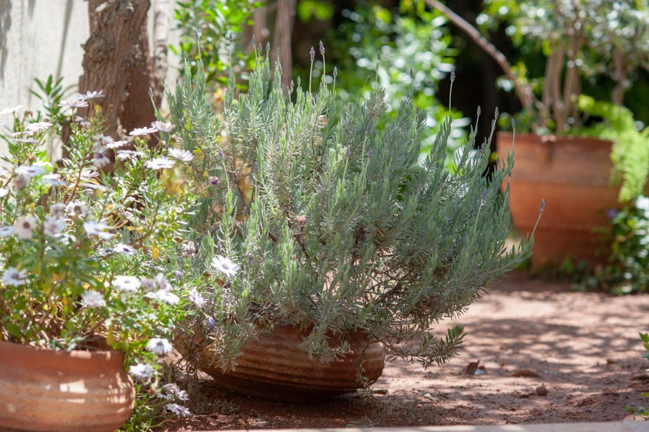 Mimoza Hotel Spetses Town Bagian luar foto